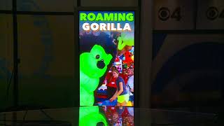 State Fair Experience 2017 Day 12 Session 1