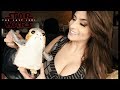 How to care for your Porg Parody