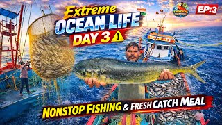 ‼️Extreme Ocean Life Day 3 ⚠️ | Nonstop Fishing & Fresh Catch Meal | purse seine fishing | EP:3