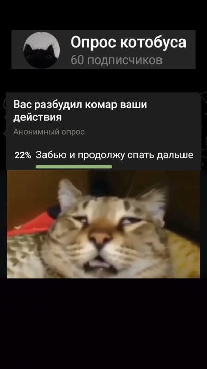 #опрос #опросы #опросный #опросник #вопросики #опросики #опросники # ...