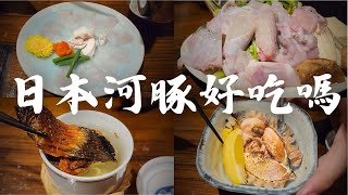 【吃播】日本虎河豚有美味到要用命拚嗎? | 姫路まえどれ市場閒逛