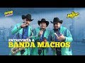 Capture de la vidéo Entrevista A Banda Machos