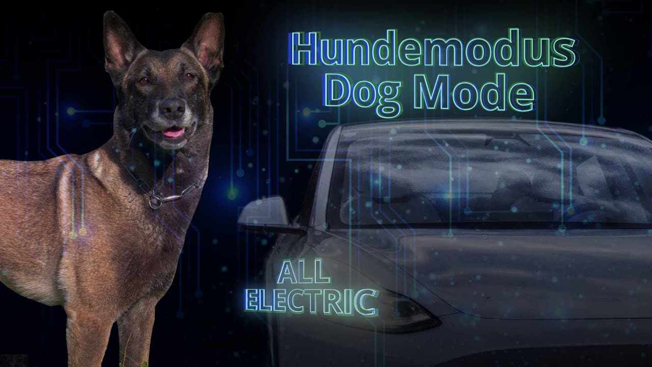 Tesla Model 3 und Hund YouTube