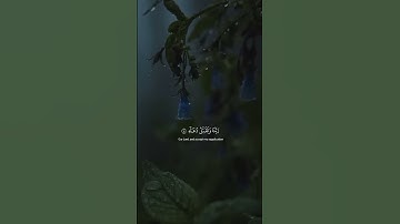 إنَّ رَبِّي لَسَمِيعُ الدُّعَاءِ ¦ محمد صديق المنشاوي ¦ سورة إبراهيم