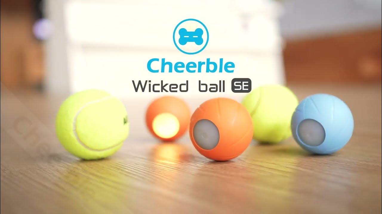 3 Interactive Modes Cheerble Intelligent Interactive Dog Toy Ball with LED  Lights, Wicked Ball SE, Made of Natural Rubber, Active Rolling Ball for  Puppy/Small/Medium Dogs and Cats, DC Rechargeable Blue