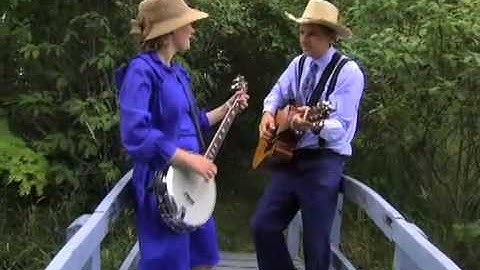 Blackbird and the cedar