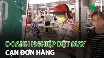 Doanh nghiệp dệt may cạn đơn hàng | VTC14
