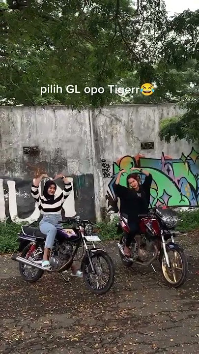 Story Wa Kata-kata Herex Gl Vs Tiger