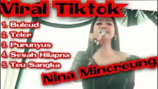 Nina Mincreung Full Album || Buleud Viral || Lagu Viral Tiktok || Ayuze Channel