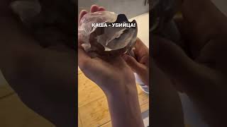 ГОТОВА подать в СУД! #miyoumi #мама #дети #семья #рецепты #малыш