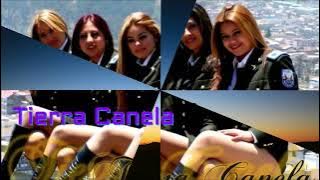 Tierra Canela - La carta final - letra