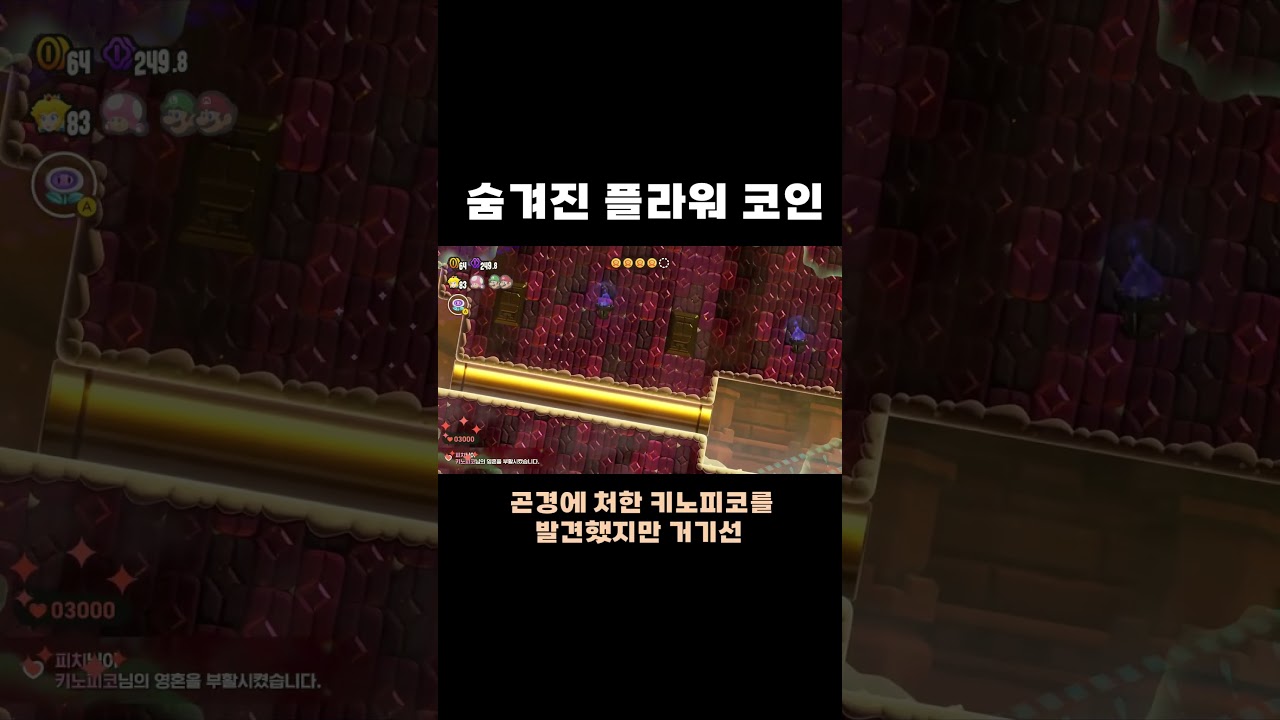 Do you Find This Hidden Flower coin? #Chirisu #MarioWonder - YouTube