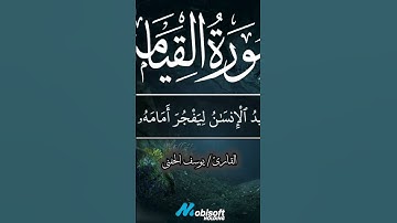 #القارئ_يوسف_الحفني#ستوريات #القران_الكريم #story #سورة_القيامة #subscribe #تلاوة_خاشعة