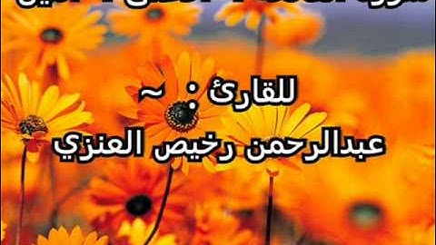 تلاوه للقارئ عبدالرحمن رخيص