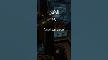 #اكسبلور #المصحف #قران_كريم #ماهر_المعيقلي #سورة_القلم