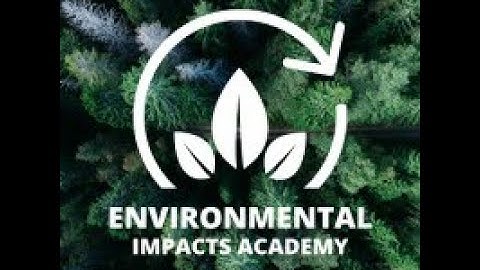 Environmental Impacts Academy - LCA program