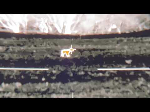Burris Thermal Riflescope BTS 