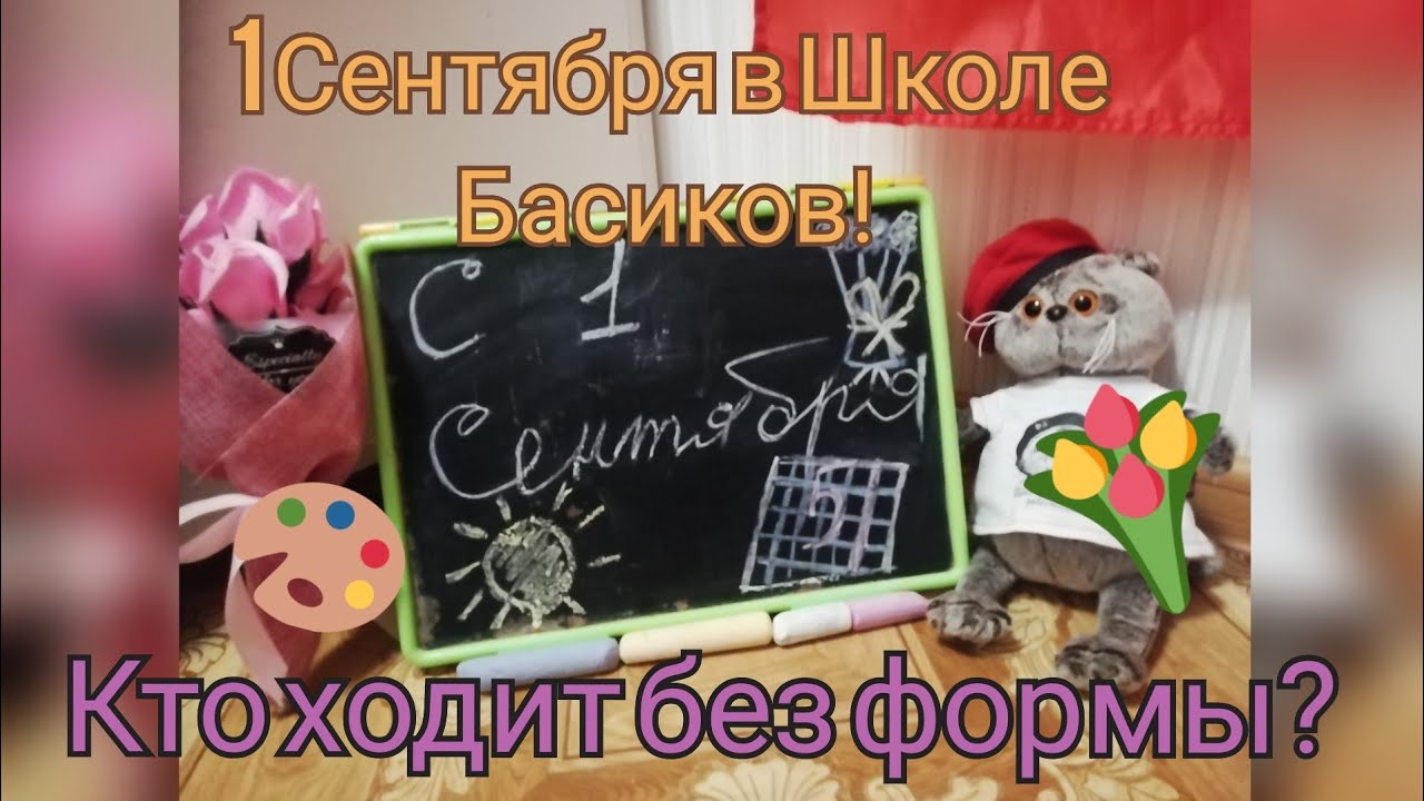 Видео школа басиков