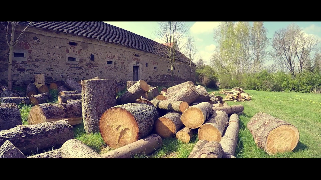 Woodcutters