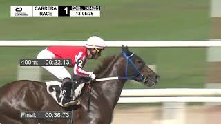4/24/2026 – Hipodromo Las Piedras – Carr 1 – PONTIFF (2014)