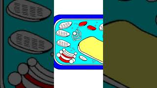 satisfying coloring Plant Cell How To Make Colorful and painting for DIY relaxing