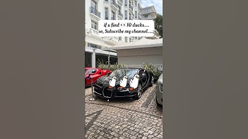 "Only 1% Can Spot the cat… 10 Ducks Are Easy 😭🔥" #findthedifference #hiddenobjects