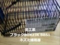 栄工業 BBS1 ブラックBOX23K ネズミ捕獲器 Trap and rat caught