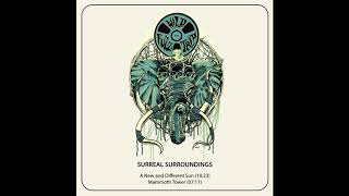 Wild Fuzz Trip  Surreal Surroundings 2019 new  Ep