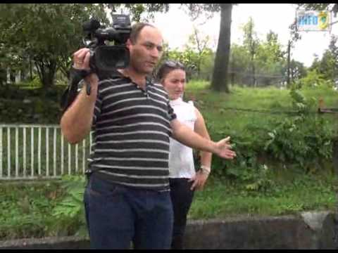 ფსევდო ინფო