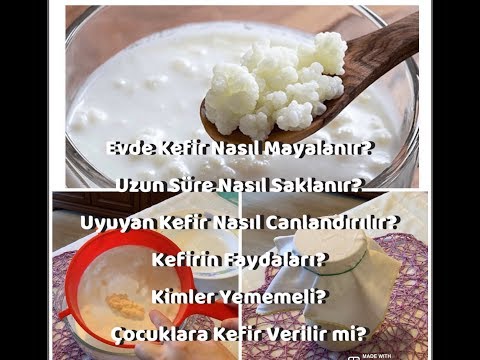 Video: Kefir üzerinde Muhallebi Krep Nasıl Pişirilir