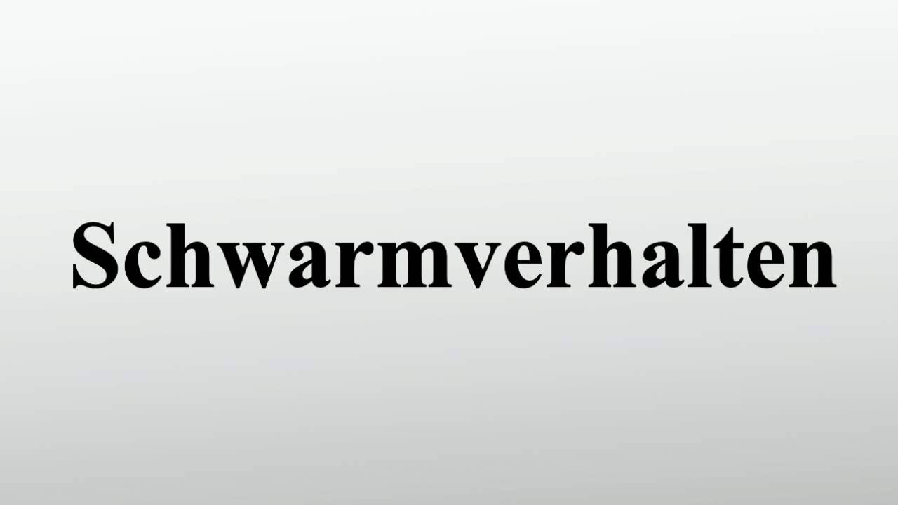 Schwarmverhalten