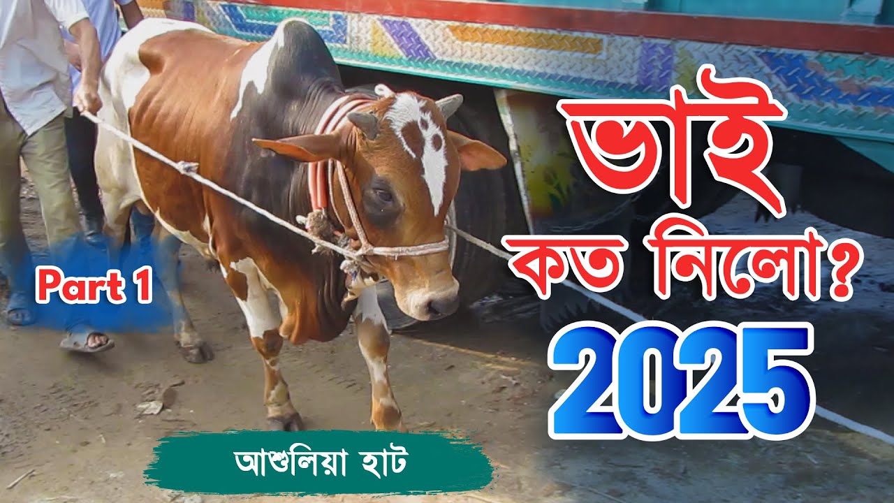 Bhai Koto Nilo 2025 | Ashulia Gorur Haat | Qurbani Cow Price 2025 | Cattle Market Update | Part: 01