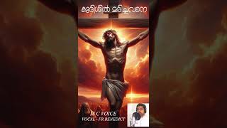 Video thumbnail of "കുരിശിൽ മരിച്ചവനെ I KURISIL MARICHAVANE I M C VOICE I FR BENEDICT"