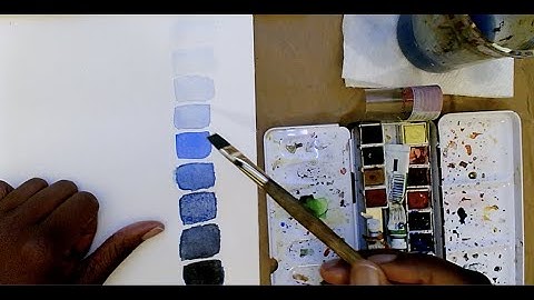 How to make a 9 Step Value Scale with Watercolor Paint