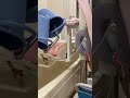 Automatic bathtub for elderly in Japan #lifeisbutadream