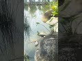 beauté de la nature