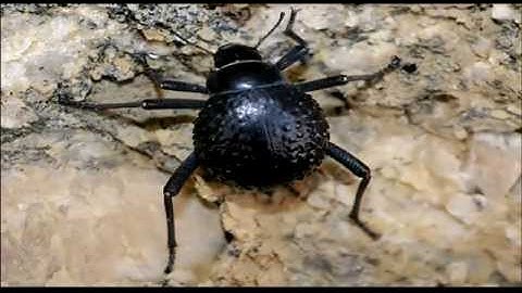 UNSW Innovation Awards 2014 Finalist - Thickett