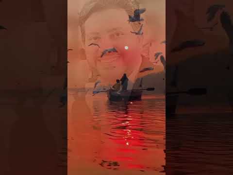 هاني شاكر كل طير مهما طال بيه السفر له وليف يرجع اليه كل ليل مهما طال بيه السهر له نهار يطلع عليه