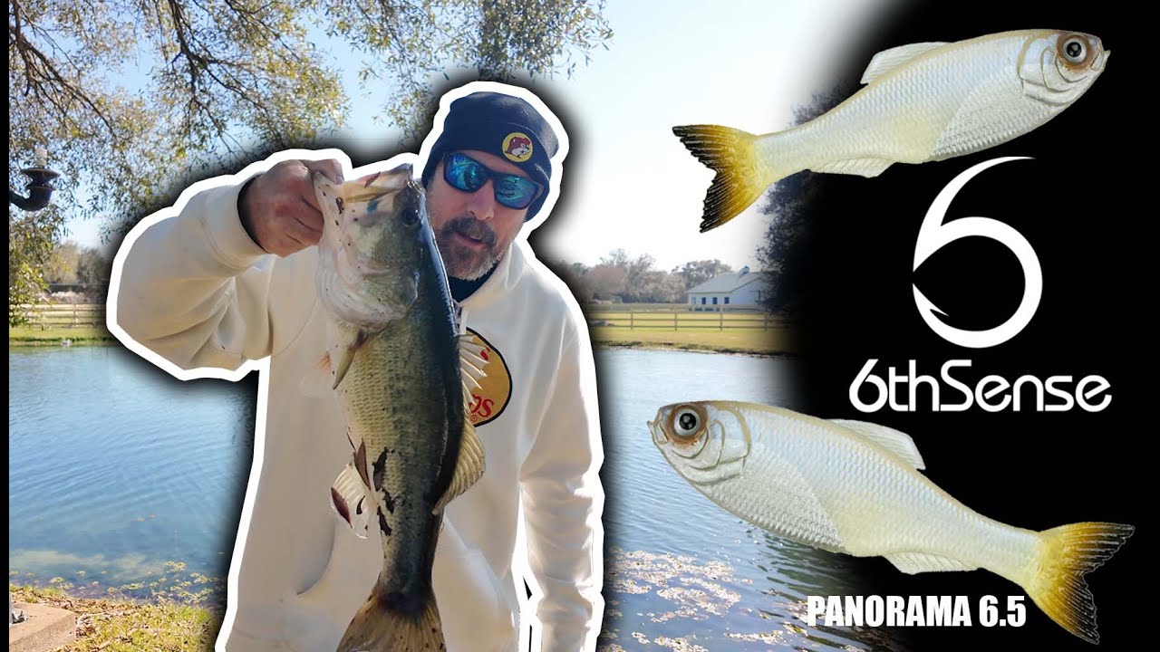 Big Bass CRUSHED the 6th Sense Panorama 6.5