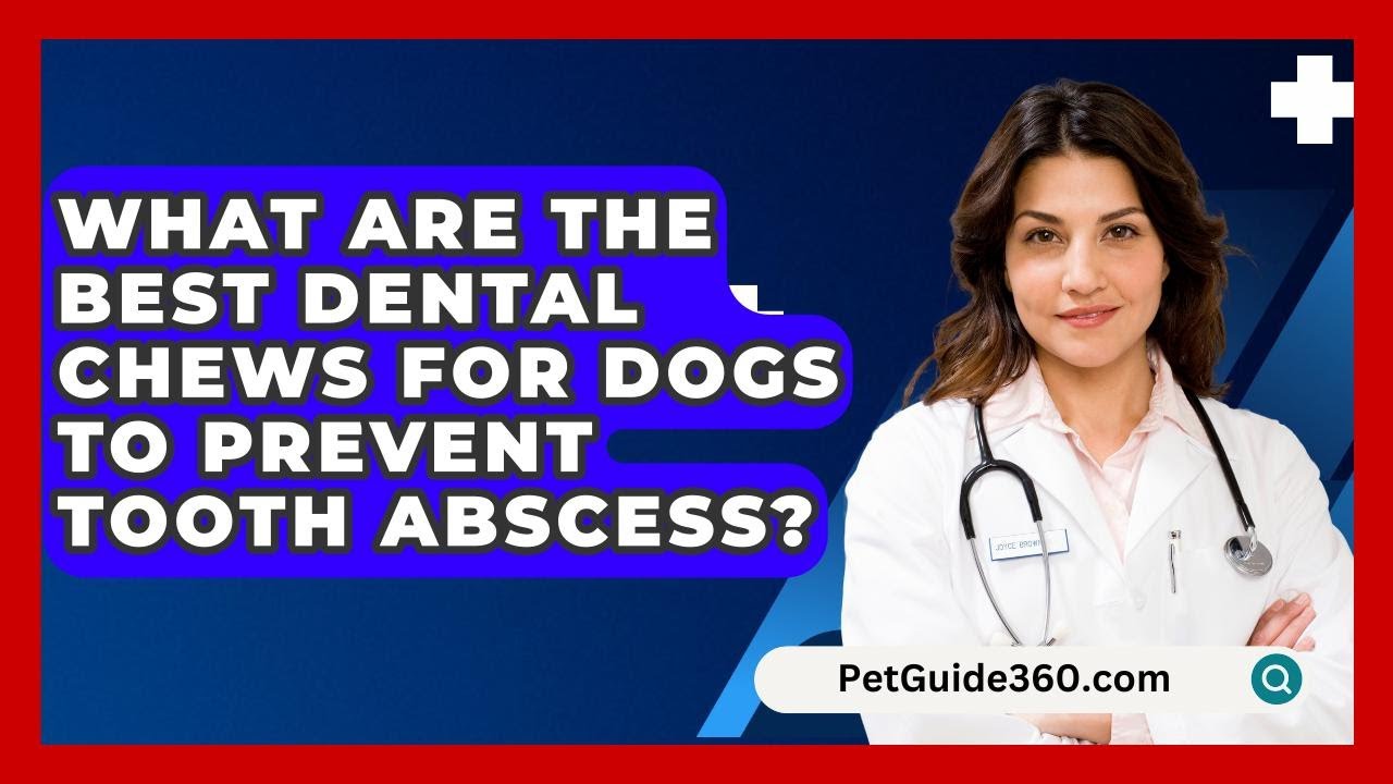 What Are The Best Dental Chews For Dogs To Prevent Tooth Abscess? - PetGuide360.com