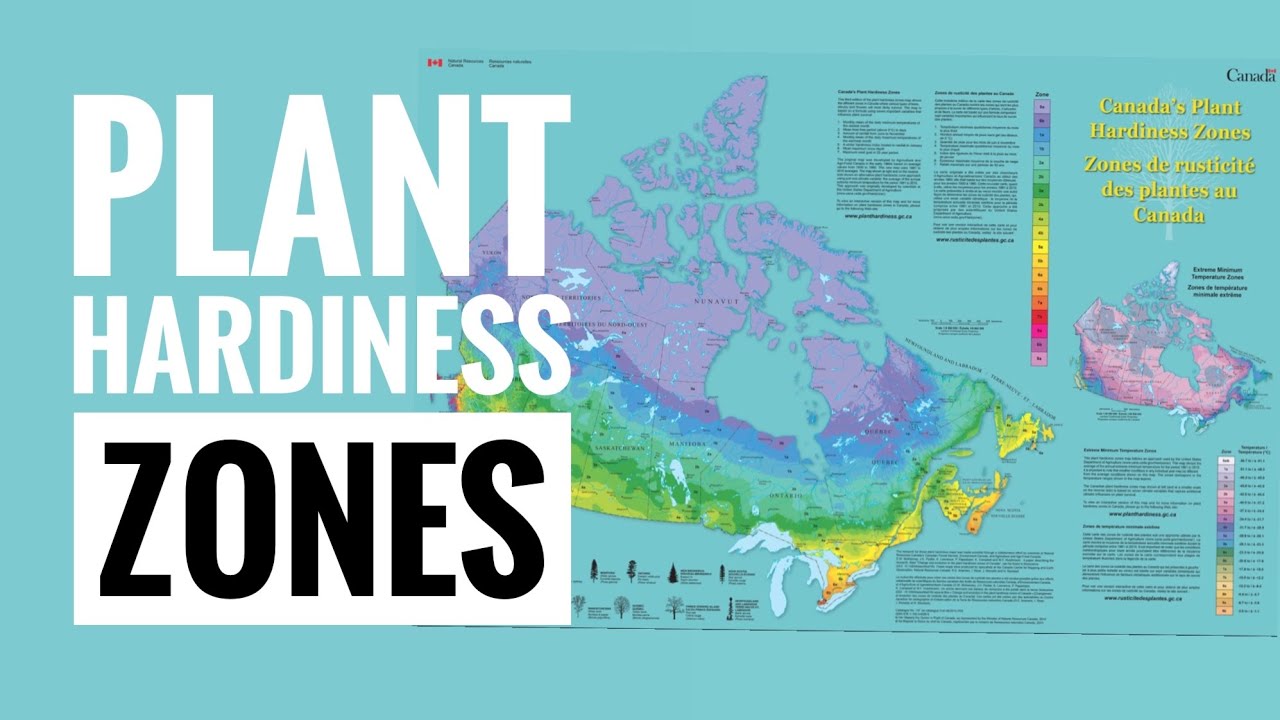 Hardiness Zone In Canada Plant Labels