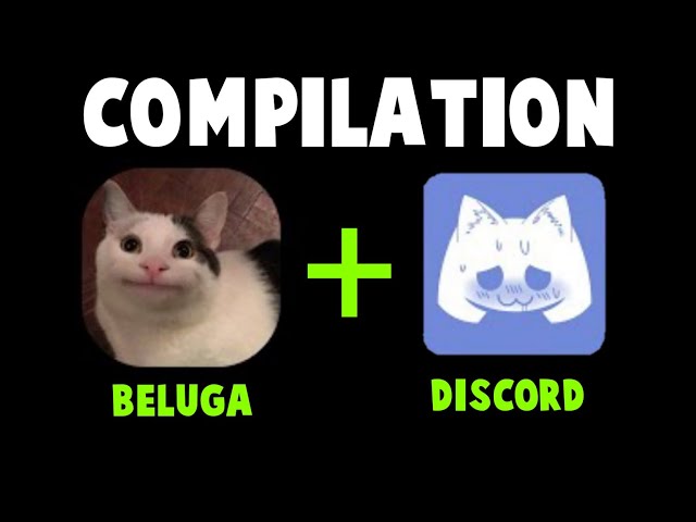 fyp #story #beluga # #mars #beluga#Discord