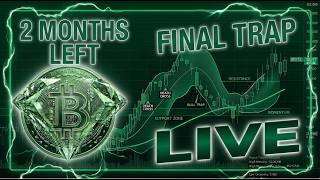 Bull Market or Bear Market: The Answer Now! Preparing For End of Bear Market! Bitcoin Dogecoin LIVE
