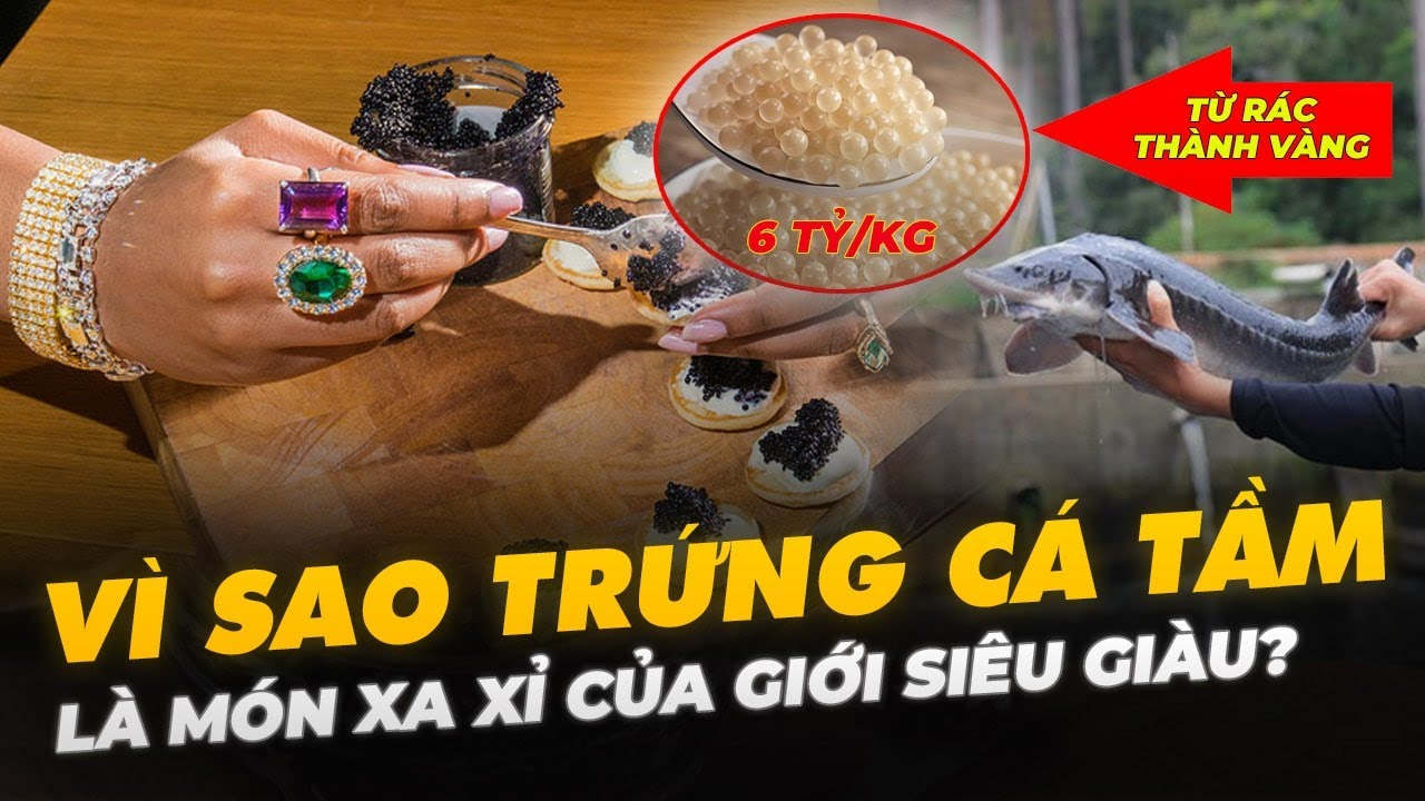 VÌ SAO MÓN ĂN TỪNG VỨT CHO LỢN GIỜ LẠI ĐẮT HƠN VÀNG? GIÁ LÊN TỚI 6 TỶ ĐỒNG/KG !