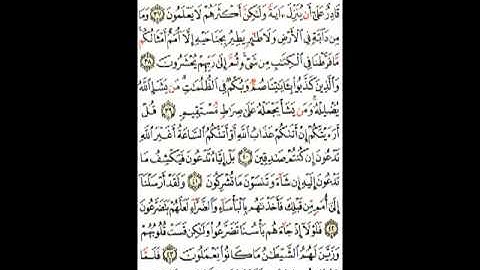 سورة الأنعام الآيات ( 36 ـ 44 ) صفحة ( 132 )