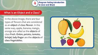 Ch 4 | Gems Educational | Computer | Class 8 | Program Coding-Introduction to Java and Blue) | For