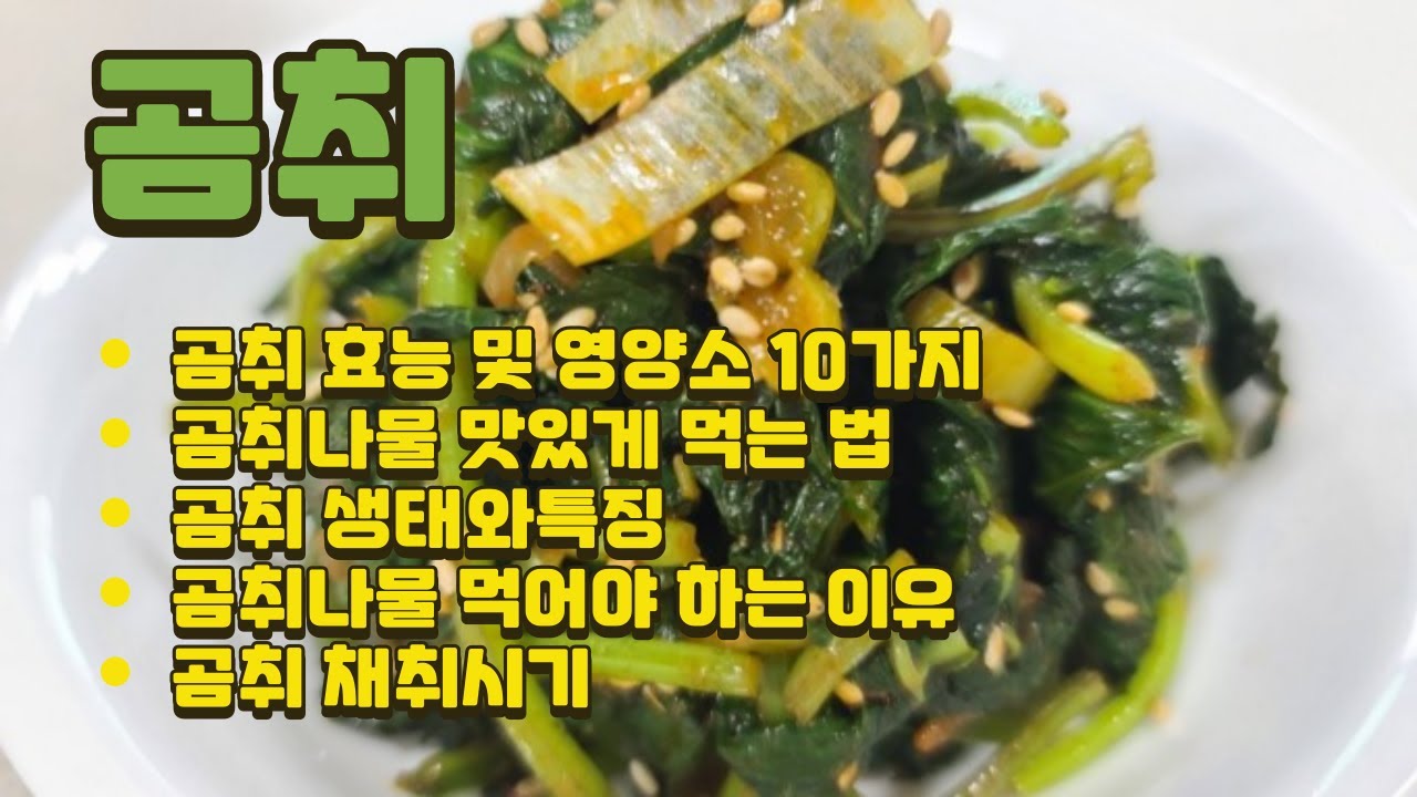 곰취 효능 I 곰취 맛있게 먹는 법 I 곰취 먹어야 하는 이유 - YouTube