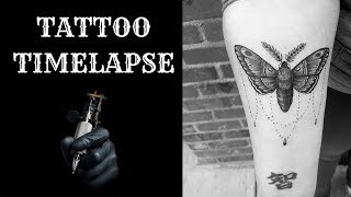 MOTH TATTOO/ TATTOO TIMELAPSE