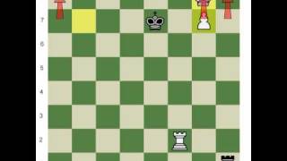 Rook Endgame's: Beginner to Master Part I