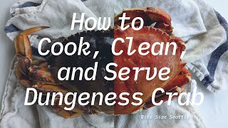 How To Cook And Clean A Dungeness Crab - Bite Size Seattle